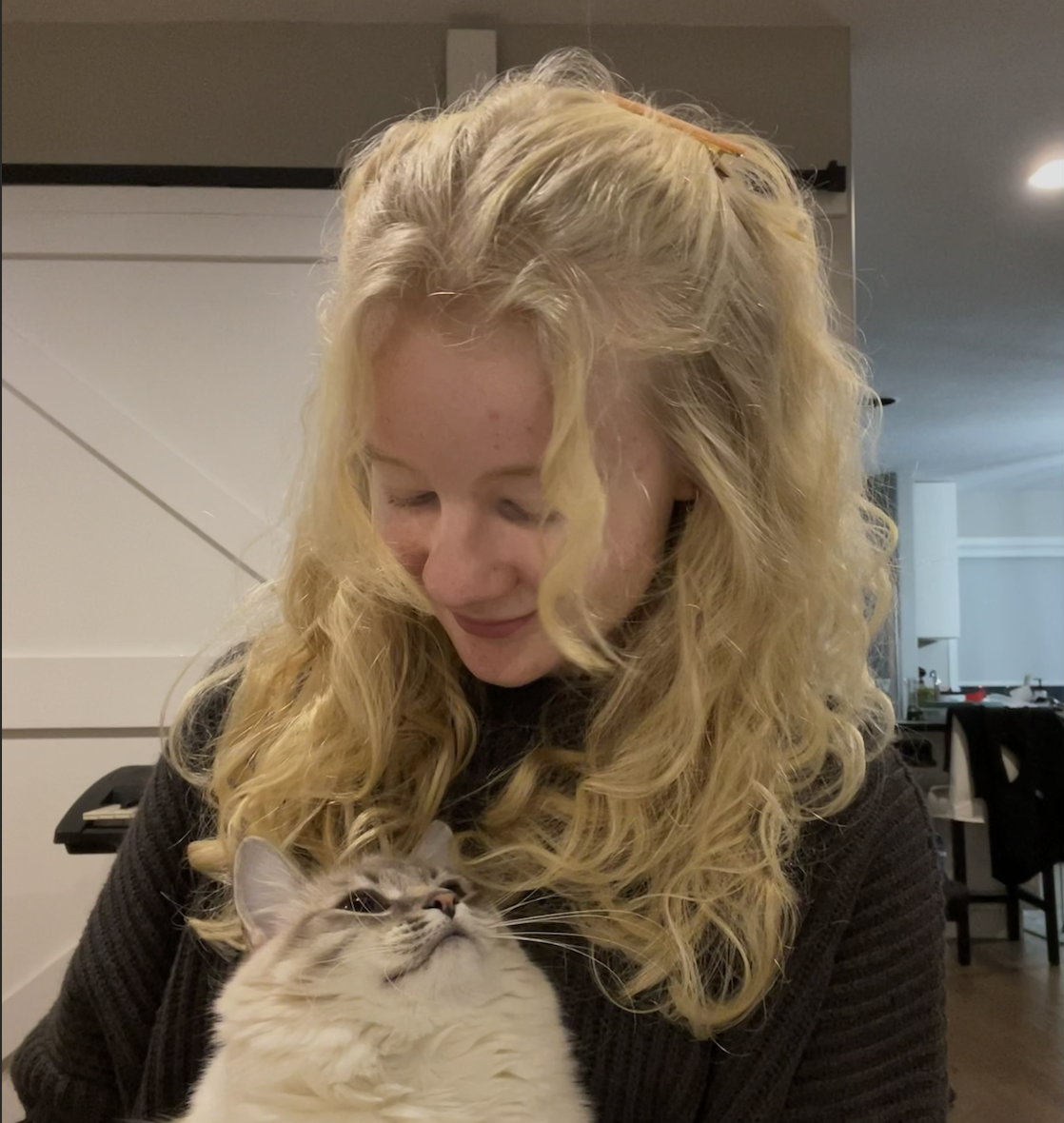 cat picture